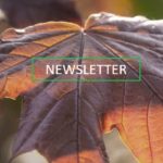 Newsletter 10/2024